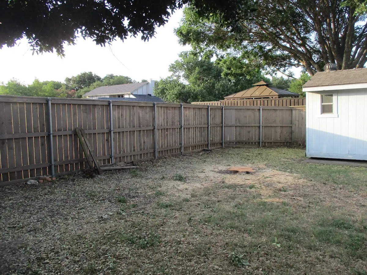 Cleared yard after professional tree removal in Hampshire