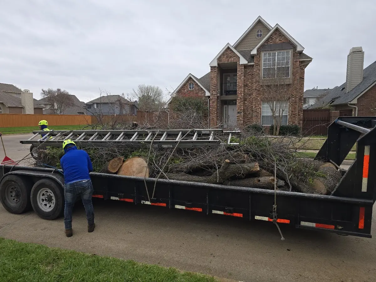Expert Tree Fertilization with proper safety equipment in Hampshire
